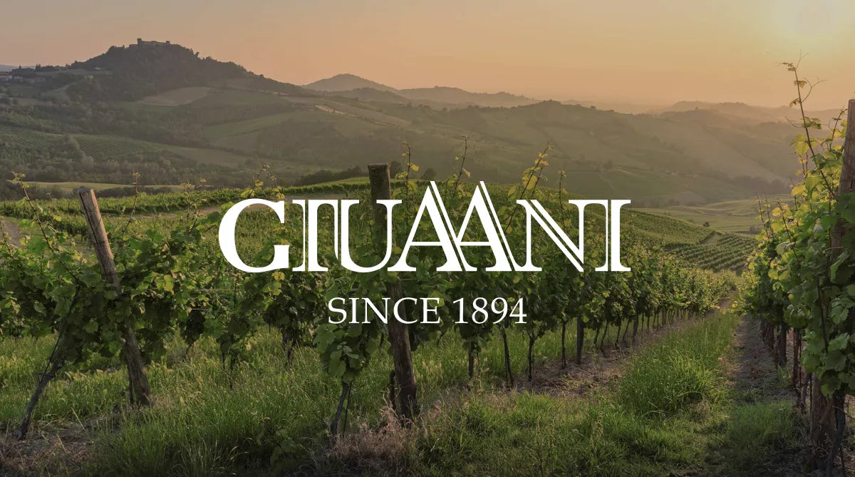 Giuaani Winery in Georgien mit malerischen Weinbergen bei Sonnenuntergang – ein traditionsreiches Weingut, das seit 1894 hochwertige Weine produziert.
