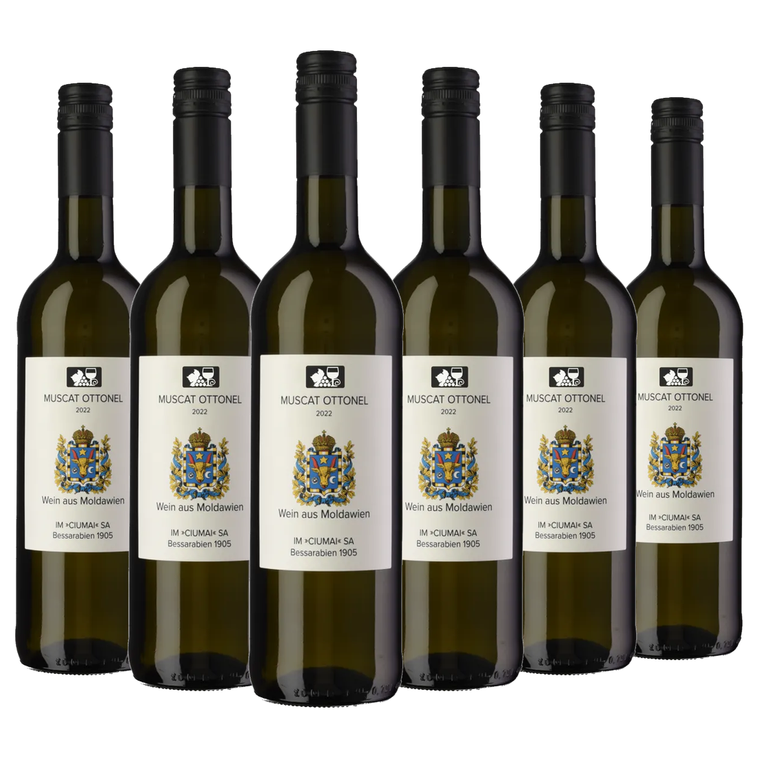 Ciumai Muscat Ottonel 2022 – 6er Weinpaket, 6×750 ml, Weißwein aus Moldawien